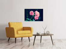 Load image into Gallery viewer, Canvas print Beautiful pink roses