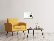 Load image into Gallery viewer, Canvas print A daisy