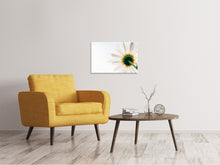 Load image into Gallery viewer, Canvas print A daisy