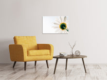 Load image into Gallery viewer, Canvas print A daisy