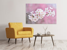 Load image into Gallery viewer, Canvas print Cherry Blossoms XXL