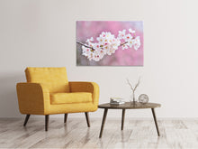 Load image into Gallery viewer, Canvas print Cherry Blossoms XXL