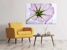 Load image into Gallery viewer, Canvas print The cosmos flower