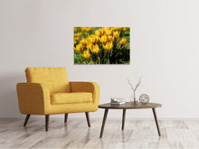 Load image into Gallery viewer, Canvas print Crocuses in spring
