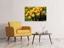 Load image into Gallery viewer, Canvas print Crocuses in spring