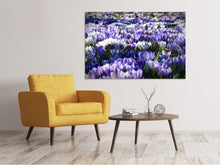 Load image into Gallery viewer, Canvas print A field full of crocuses