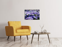 Load image into Gallery viewer, Canvas print A field full of crocuses