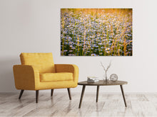 Load image into Gallery viewer, Canvas print A field full of camomile