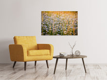 Load image into Gallery viewer, Canvas print A field full of camomile