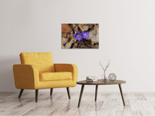 Load image into Gallery viewer, Canvas print wildflowers