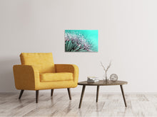 Load image into Gallery viewer, Canvas print Macro dandelion