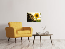 Load image into Gallery viewer, Canvas print Sunflower in the sunrise
