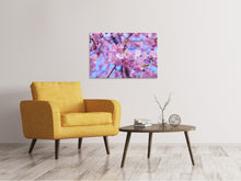 Load image into Gallery viewer, Canvas print Gorgeous cherry blossom