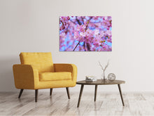 Load image into Gallery viewer, Canvas print Gorgeous cherry blossom