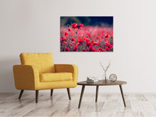 Load image into Gallery viewer, Canvas print In the poppy field
