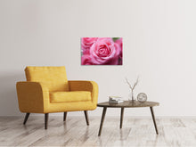 Load image into Gallery viewer, Canvas print Roses macro