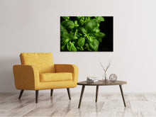 Load image into Gallery viewer, Canvas print Basil in XL