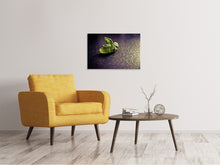 Load image into Gallery viewer, Canvas print Basil leaves