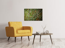 Load image into Gallery viewer, Canvas print Rosemary XXL