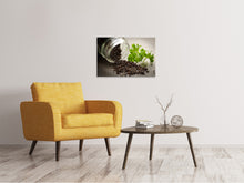 Load image into Gallery viewer, Canvas print poppy seed