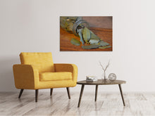 Load image into Gallery viewer, Canvas print bay leaves