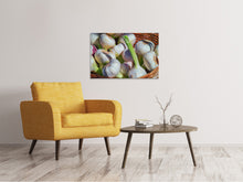 Load image into Gallery viewer, Canvas print Fresh garlic
