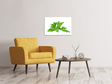Load image into Gallery viewer, Canvas print Leaves of parsley