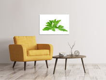 Load image into Gallery viewer, Canvas print Leaves of parsley