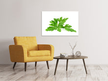 Load image into Gallery viewer, Canvas print Leaves of parsley