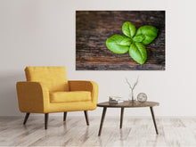 Load image into Gallery viewer, Canvas print Basil leaf in XXL