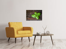 Load image into Gallery viewer, Canvas print Basil leaf in XXL