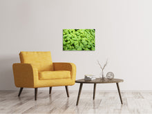 Load image into Gallery viewer, Canvas print All basil