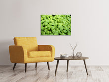 Load image into Gallery viewer, Canvas print All basil