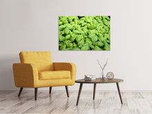 Load image into Gallery viewer, Canvas print All basil