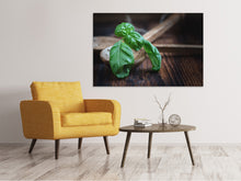 Load image into Gallery viewer, Canvas print Fresh basil XL