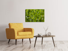 Load image into Gallery viewer, Canvas print Fresh thyme