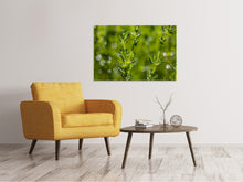 Load image into Gallery viewer, Canvas print Fresh thyme