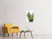 Load image into Gallery viewer, Canvas print Rosemary in the pot