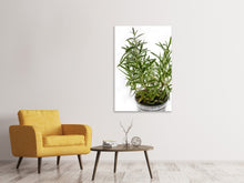 Load image into Gallery viewer, Canvas print Rosemary in the pot