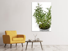 Load image into Gallery viewer, Canvas print Rosemary in the pot
