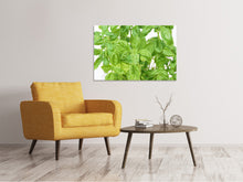 Load image into Gallery viewer, Canvas print Basil in XXL
