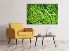 Load image into Gallery viewer, Canvas print Fresh chives XL