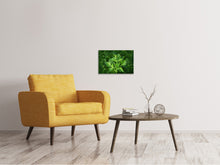 Load image into Gallery viewer, Canvas print Fresh parsley