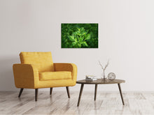 Load image into Gallery viewer, Canvas print Fresh parsley