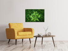 Load image into Gallery viewer, Canvas print Fresh parsley