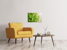 Load image into Gallery viewer, Canvas print A bouquet of basil