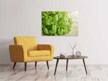 Load image into Gallery viewer, Canvas print A bouquet of basil