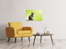 Load image into Gallery viewer, Canvas print Pop Art Cat XL