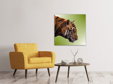 Load image into Gallery viewer, Canvas print Pop Art Tiger