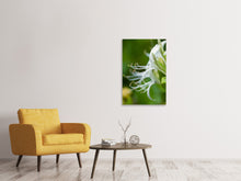 Load image into Gallery viewer, Canvas print Macro Florescence